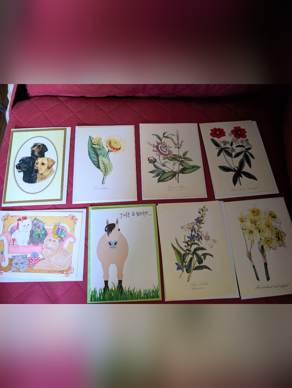 Assorted Floral & Animal Blank Note Cards Set of 8 NEW